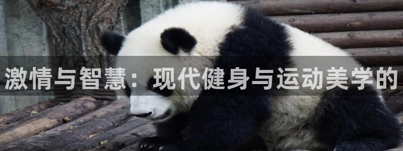 海南3377体育官网下载:激情与智慧:现代健身与运动美学的